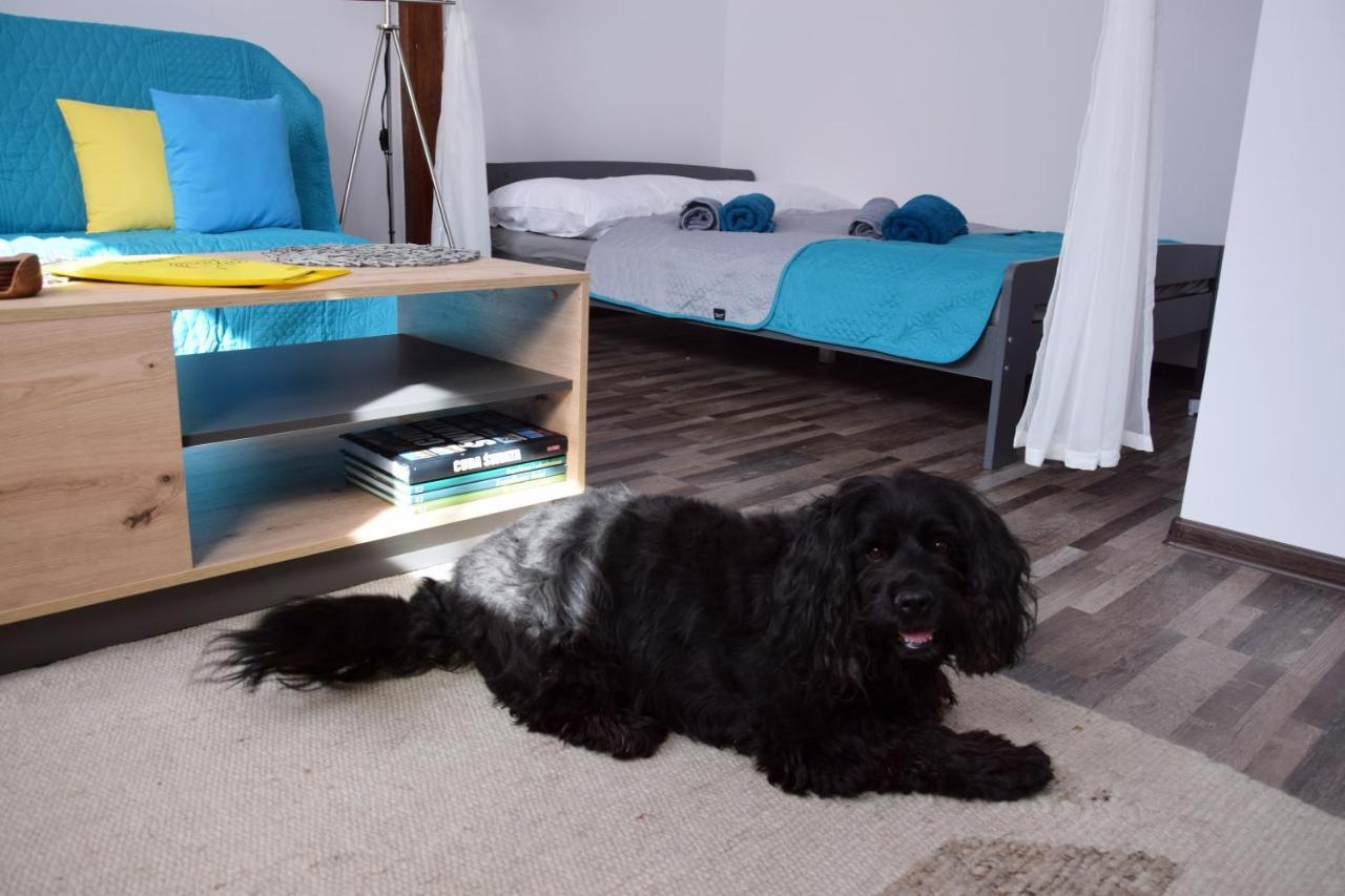 Apartament Gornicza W Kowarach Kowary Eksteriør bilde